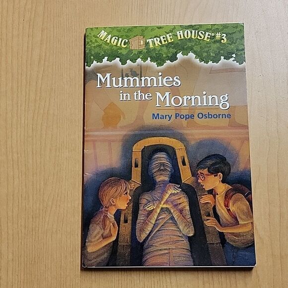 10 Magic Tree House paperback books (set 2) - Picture 10 of 11